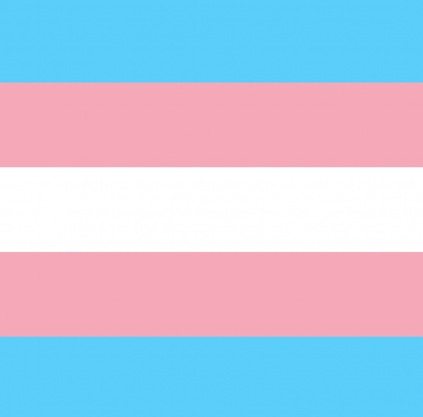 Trans Week of Visibility Banner